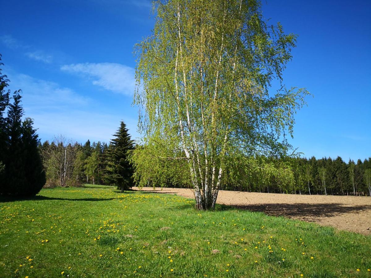 Ferienwohnungen 1 Bis 4 "Pumphut'S Scheune" Lengenfeld  Екстер'єр фото